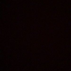 Meet your Posher, Bree